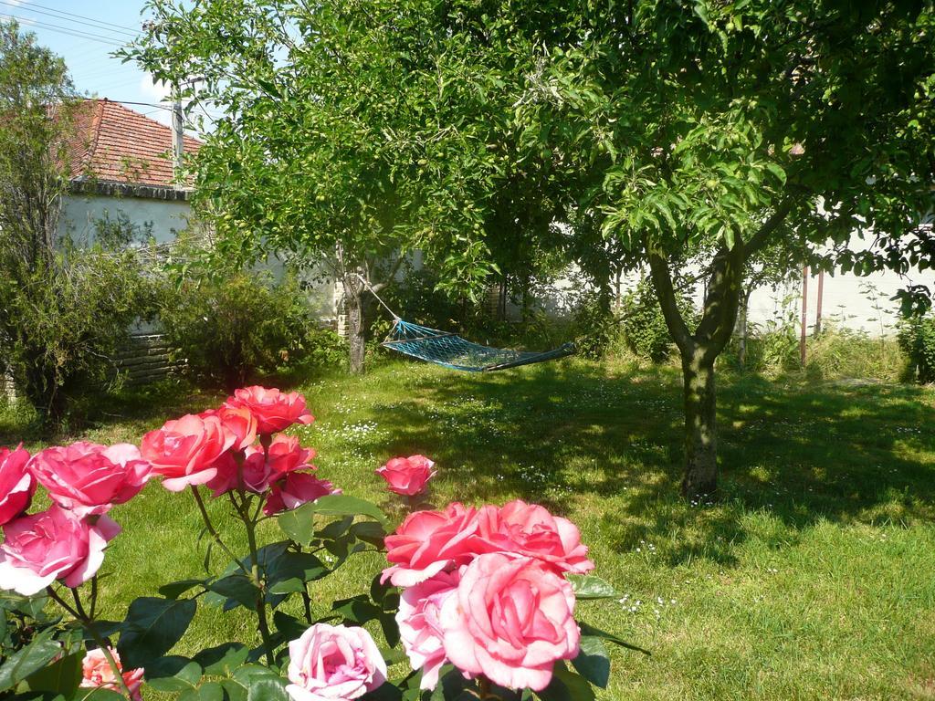 Guest House Tisza Haz Senta Екстериор снимка