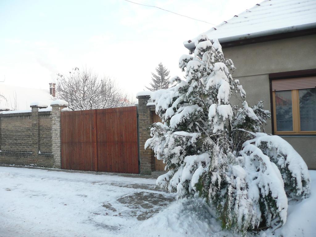 Guest House Tisza Haz Senta Екстериор снимка