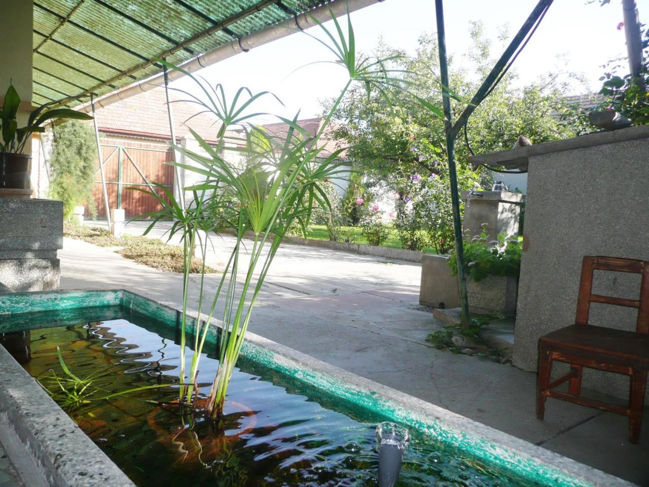 Guest House Tisza Haz Senta Екстериор снимка